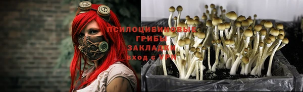 apvp Бугульма